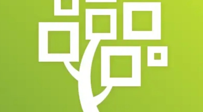 Finding Advanced Strategies for Searching Historical Records