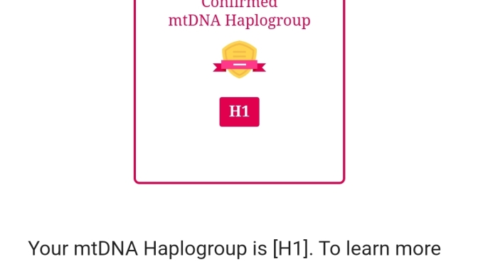 My mtDNA Full Sequence Report